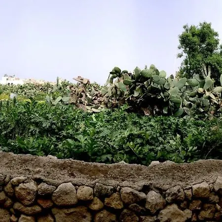 住宿加早餐酒店 乡村景致住宿加早餐旅馆 3*