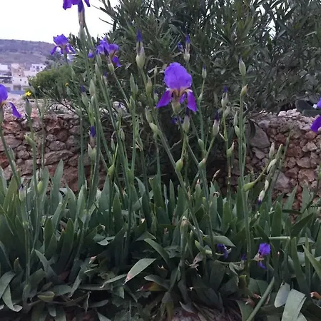 Bed and Breakfast Country Views 3*