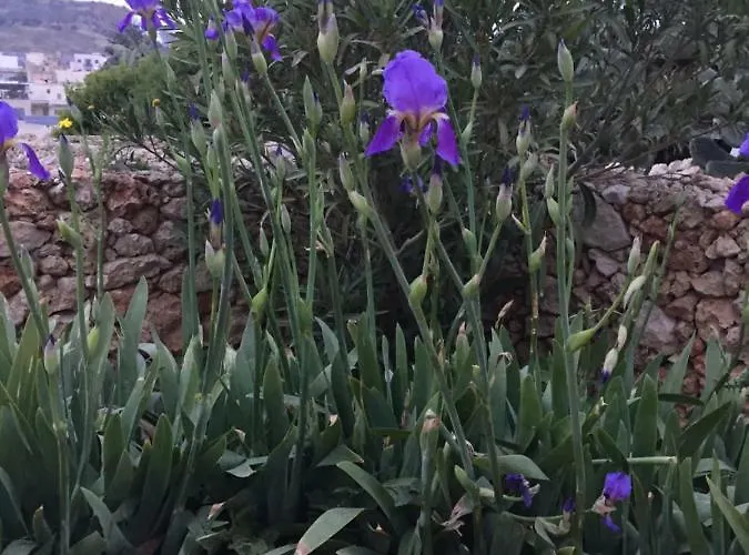 B&B Country Views 3*